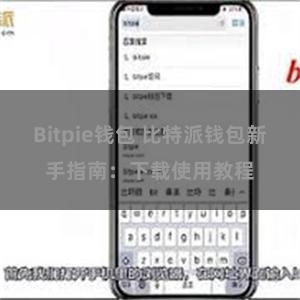 Bitpie钱包 比特派钱包新手指南：下载使用教程