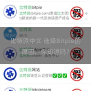 比特派中文 选择Bitpie的原因，你知道吗？