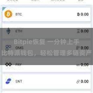 Bitpie恢复 一分钟上手比特派钱包，轻松管理多链资产