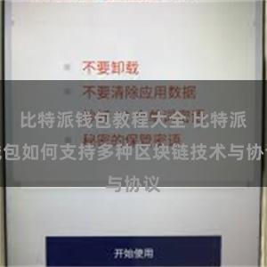 比特派钱包教程大全 比特派钱包如何支持多种区块链技术与协议