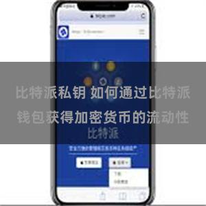 比特派私钥 如何通过比特派钱包获得加密货币的流动性