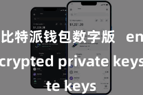 比特派钱包数字版   encrypted private keys