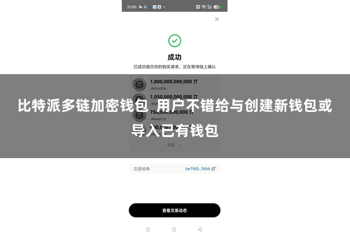 比特派多链加密钱包  用户不错给与创建新钱包或导入已有钱包