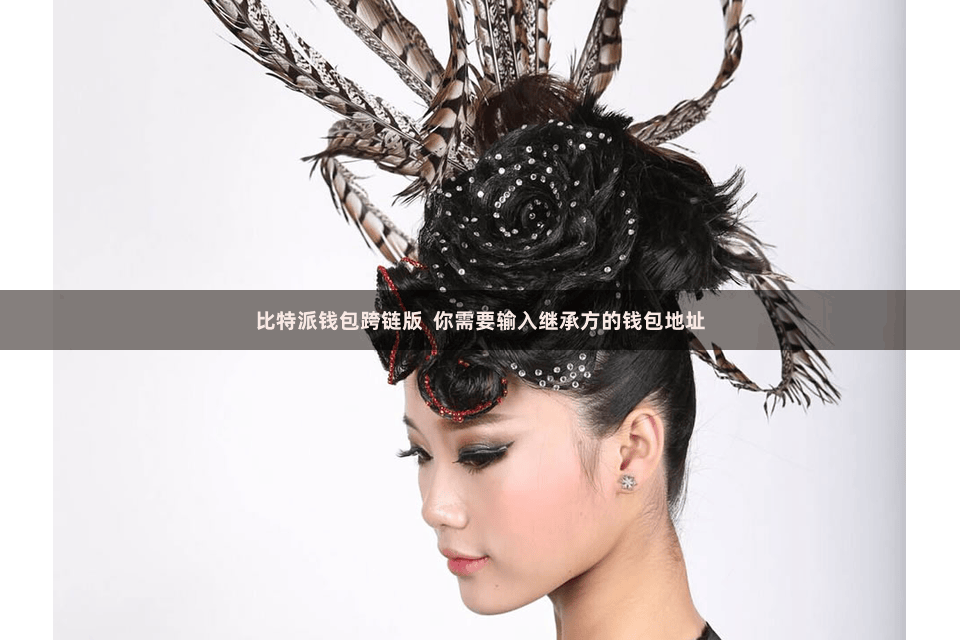 比特派钱包跨链版  你需要输入继承方的钱包地址