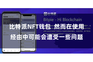 比特派NFT钱包  然而在使用经由中可能会遭受一些问题
