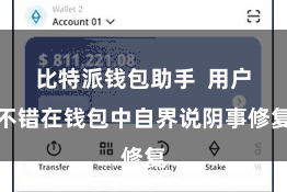 比特派钱包助手  用户不错在钱包中自界说阴事修复
