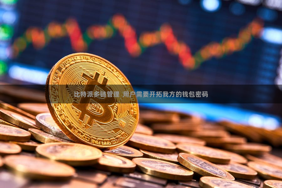 比特派多链管理  用户需要开拓我方的钱包密码