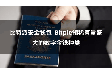 比特派安全钱包  Bitpie领稀有量盛大的数字金钱种类