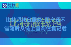 比特派钱包服务  用户还不错随时从链上查询往复记载