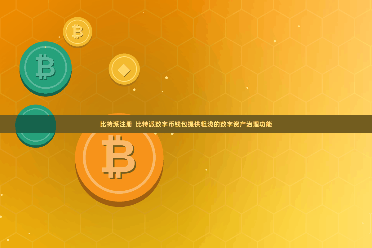 比特派注册  比特派数字币钱包提供粗浅的数字资产治理功能